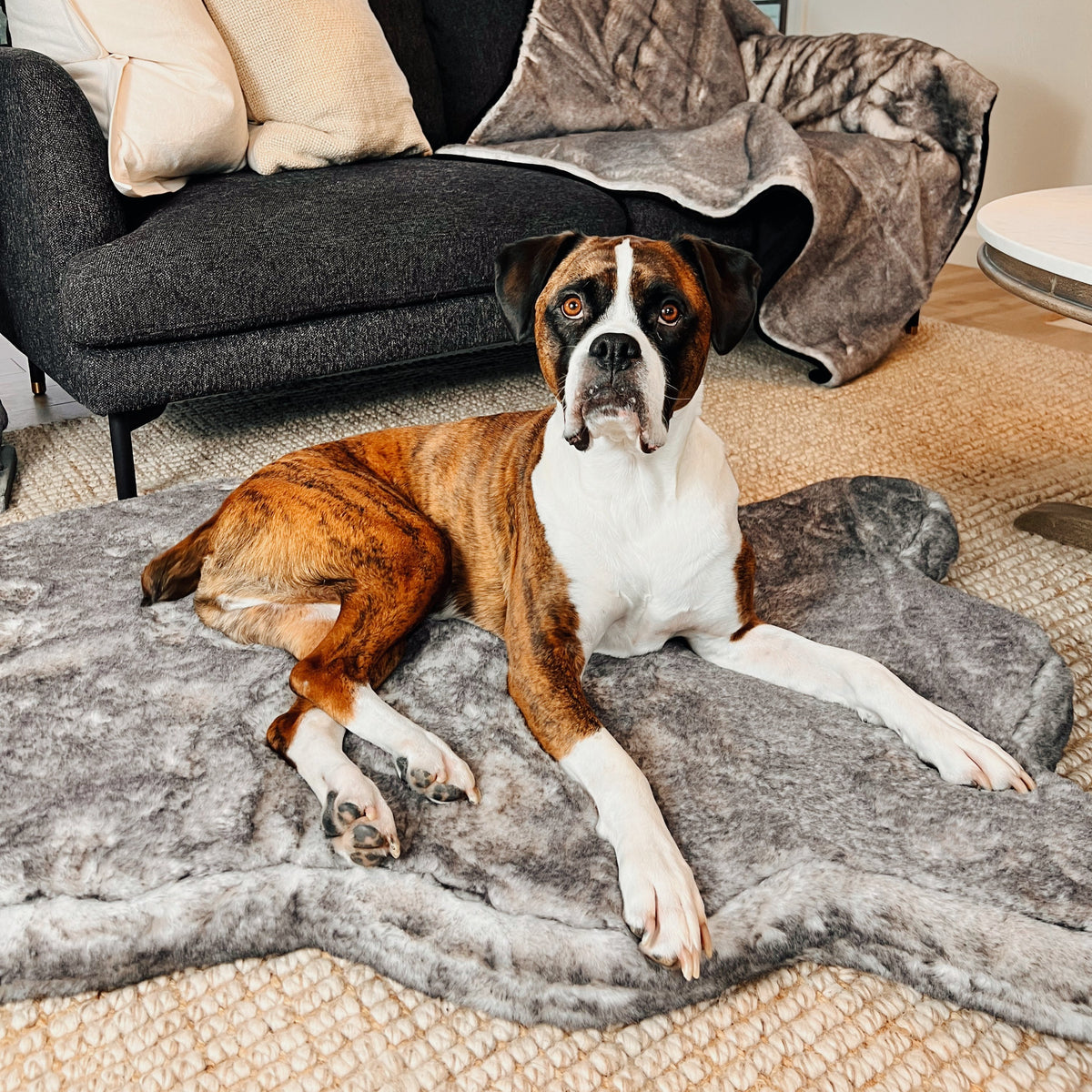 The Dog Bed That Looks Like a Luxe Area Rug – Paw.com