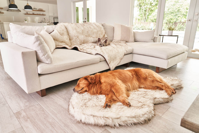 Paw.com Affiliate Program