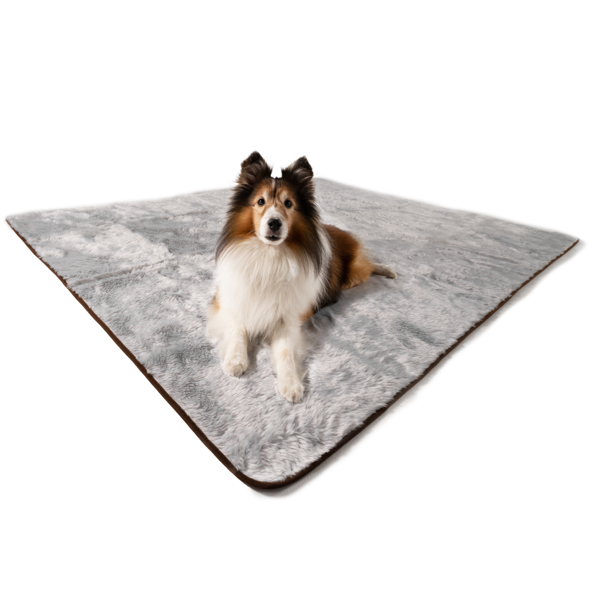 PupProtector™ Short Fur Dog Blanket, Gray – Paw.com
