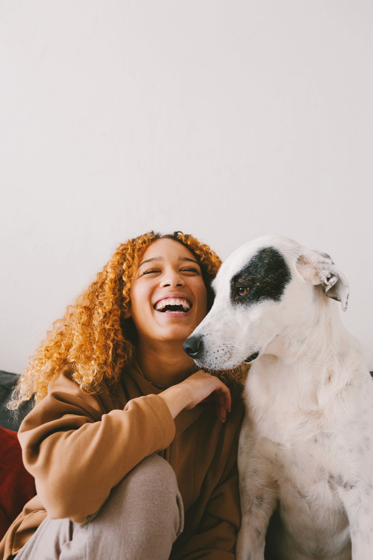 Paw.com lifestyle