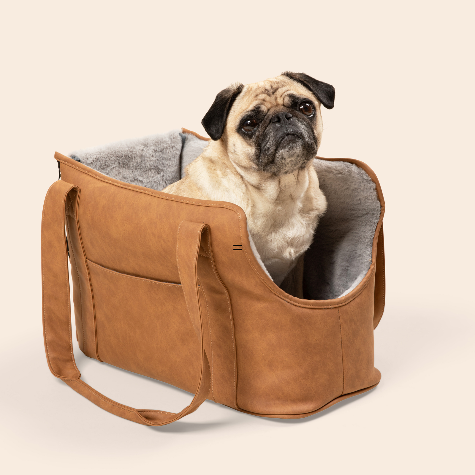 Unique Designer Travel Bag for a 7.5 lbs dog that matches other
