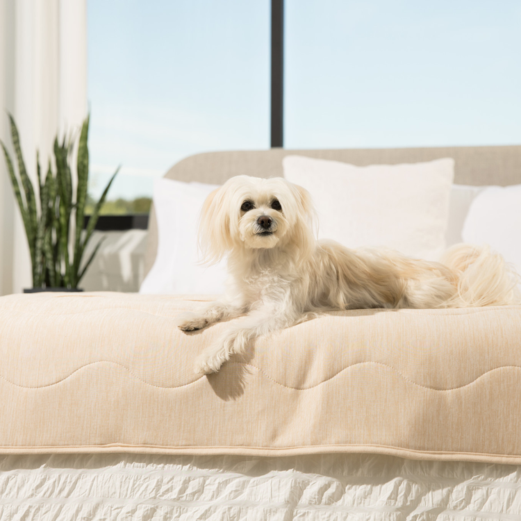PupChill™ Cooling Waterproof Runner Blanket - Arctic Sand