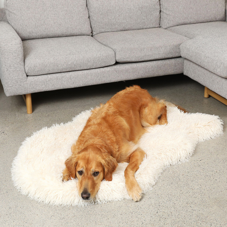 PupRug™ Luxe Faux Fur Ivory Plush Sheep Orthopedic Dog Bed + FREE Holiday Plaid Bed Cover