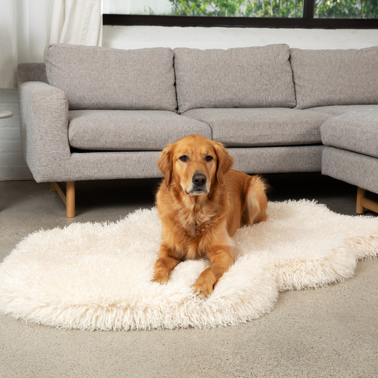 PupRug™ Luxe Faux Fur Ivory Plush Sheep Orthopedic Dog Bed + FREE Holiday Plaid Bed Cover