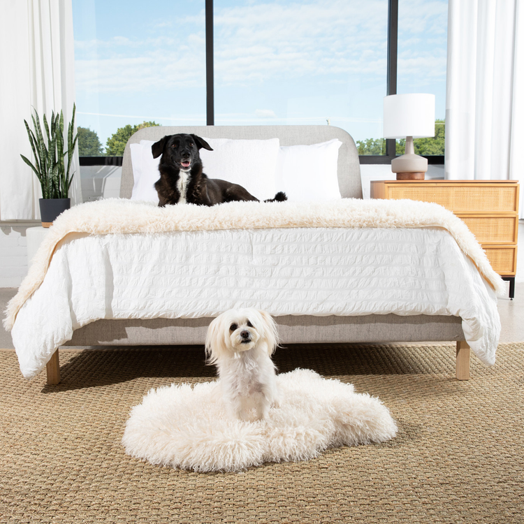 PupRug™ Luxe Orthopedic Bed + Matching Bed Runner Bundle - Plush Sheep Ivory