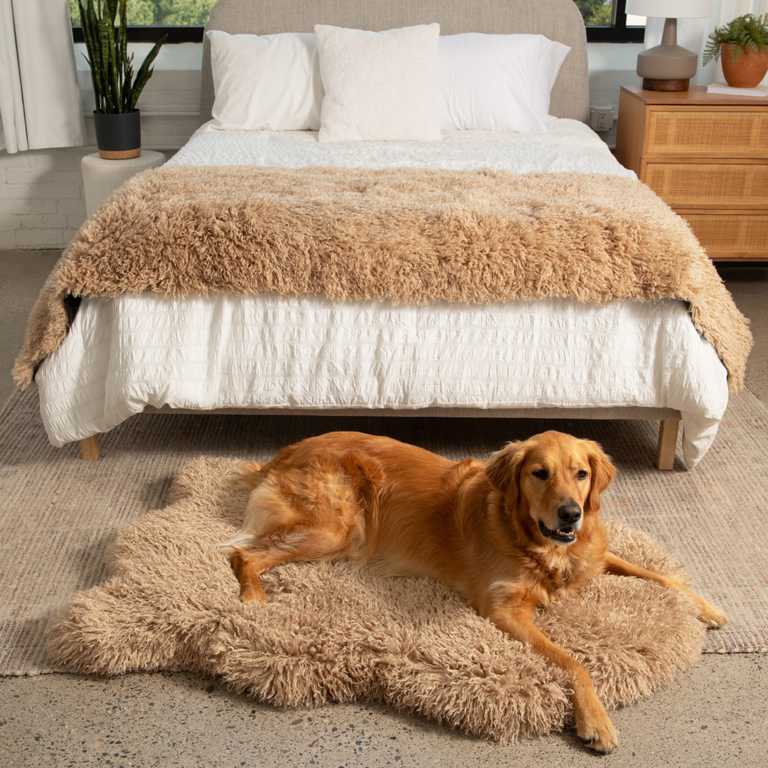 PupRug® Luxe Dog Bed & Runner Bundle, Plush Tan – Paw.com