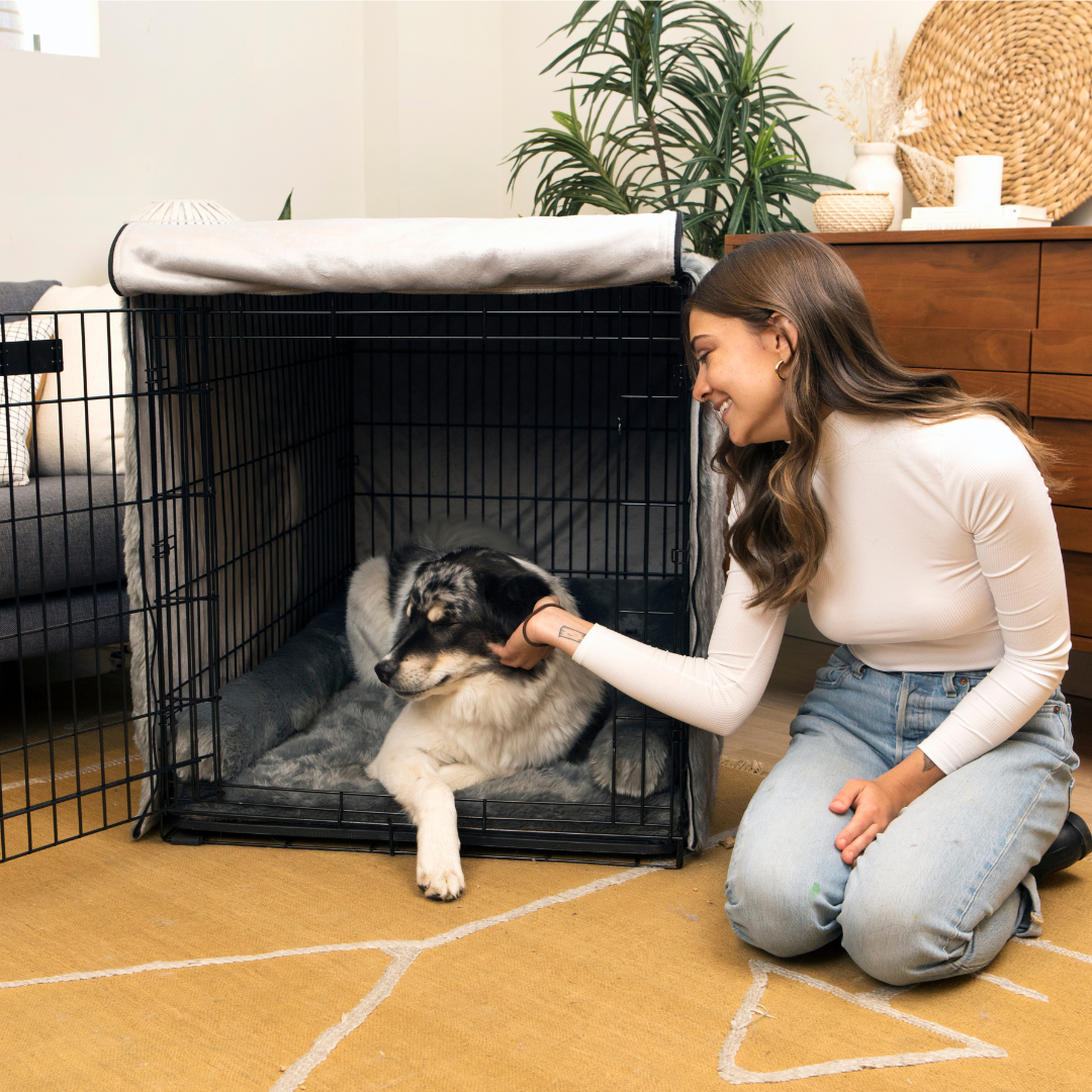 View of Upgrade Your Crate Kit - Charcoal Grey – Paw.com