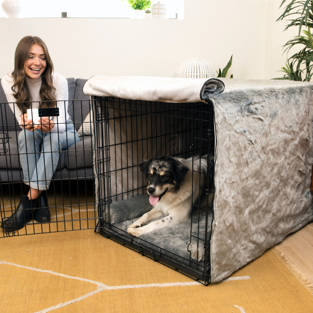 Upgrade Your Crate Kit - Charcoal Grey – Paw.com