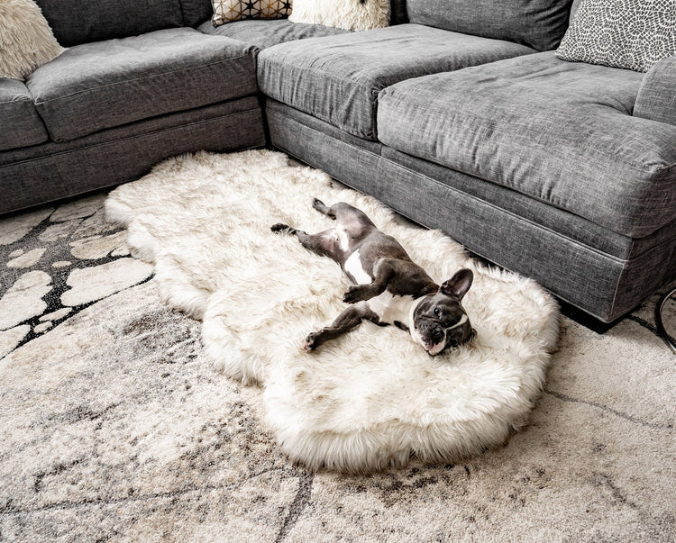 PupRug® Faux Fur Memory Foam Curved Dog Bed, White with Brown Accents –