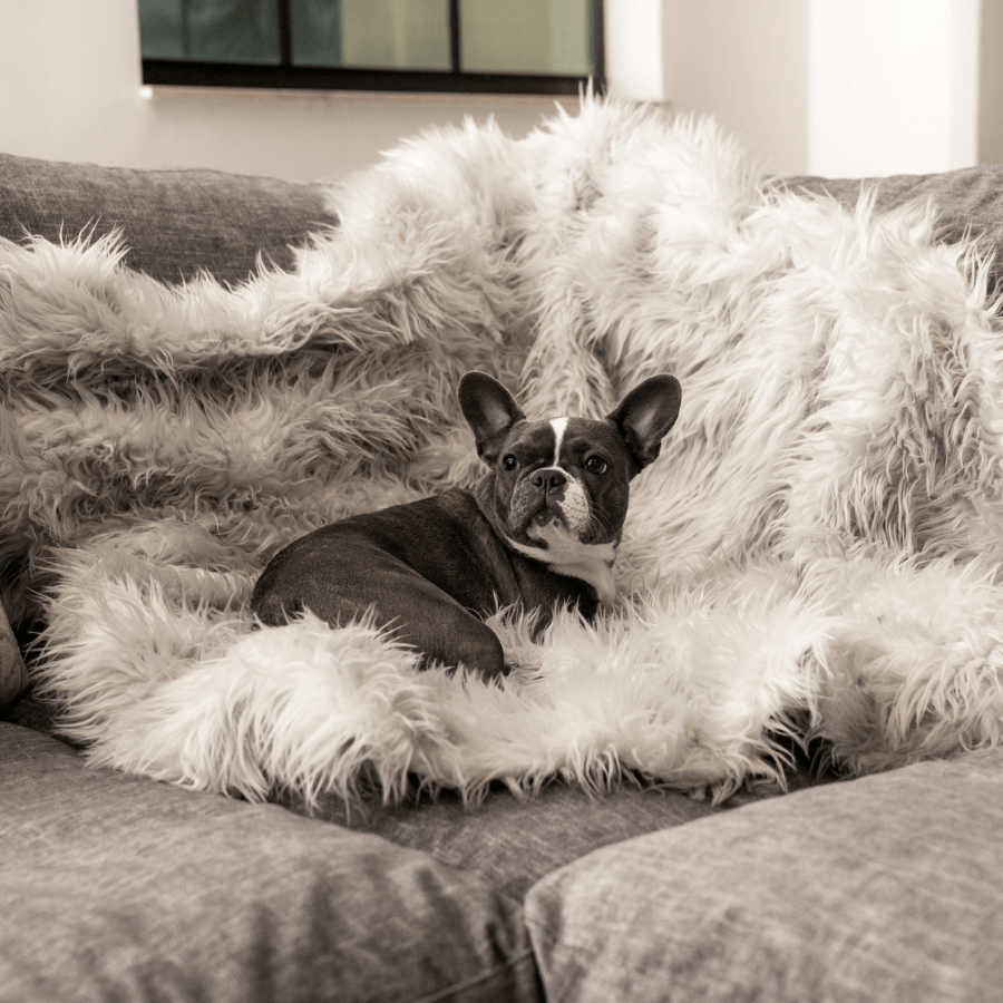 Pup protector throw blanket online