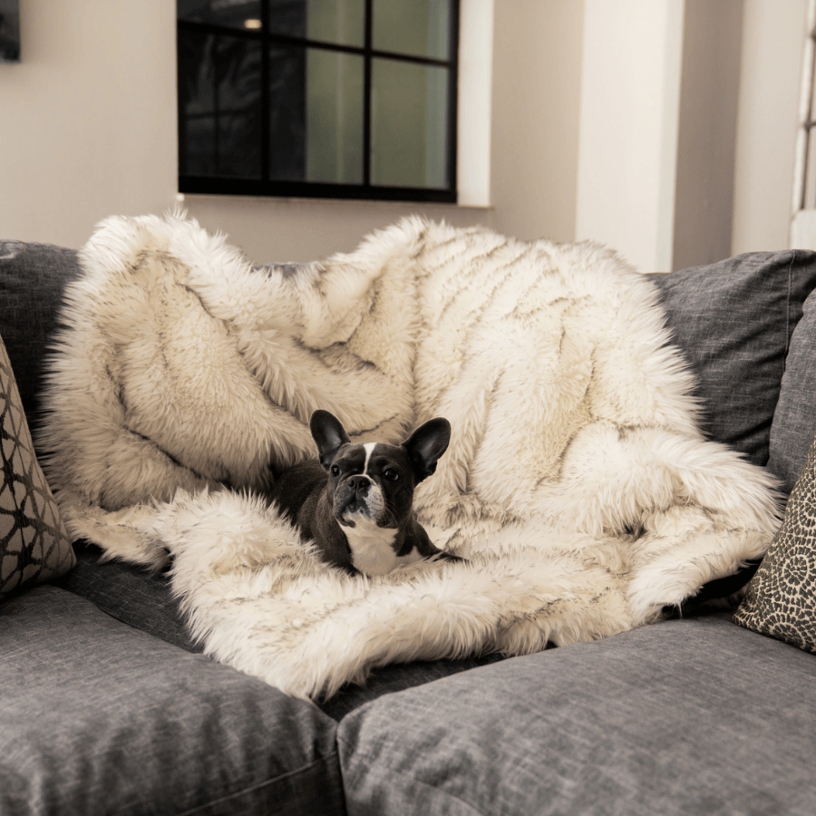 Large dog blanket for sofa new arrivals