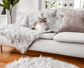 Cat on Grey Blanket on Human Couch