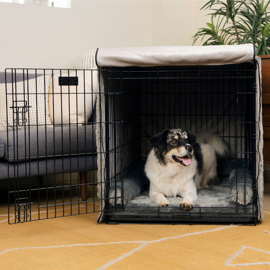 Upgrade Your Crate Kit - Charcoal Grey – Paw.com - Dog Crate Upgrade Kit