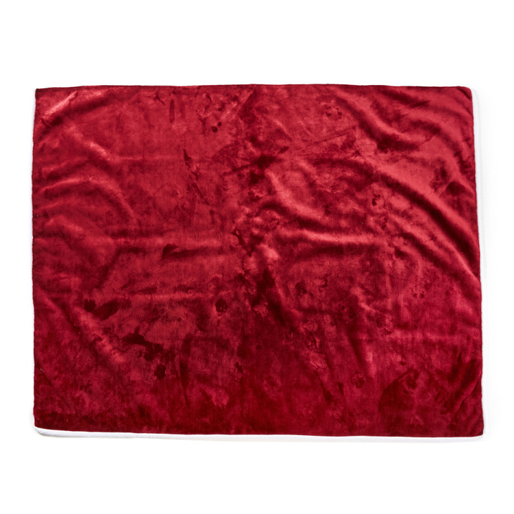 Red Velvet Waterproof Blanket