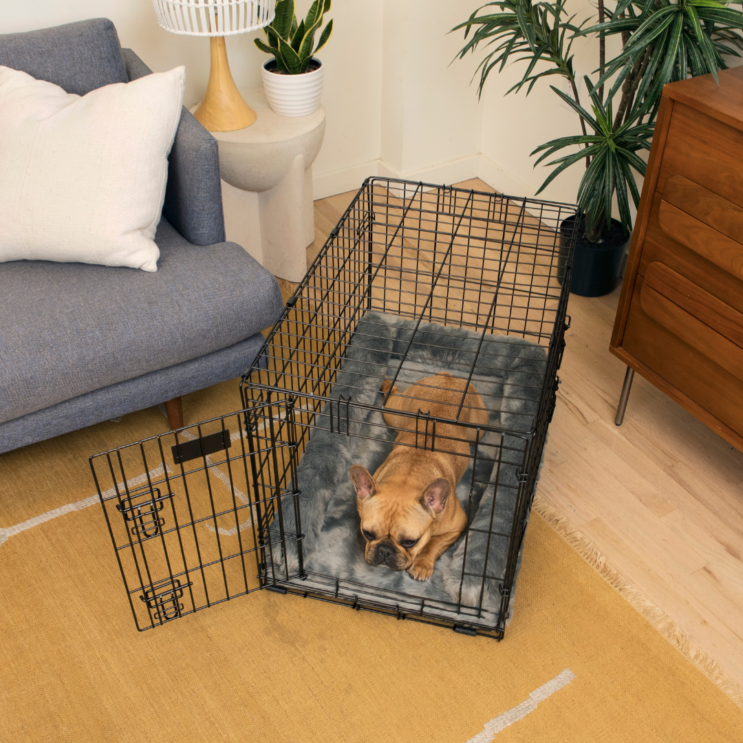 Upgrade Your Crate Kit - Charcoal Grey – Paw.com - Dog Crate Upgrade Kit
