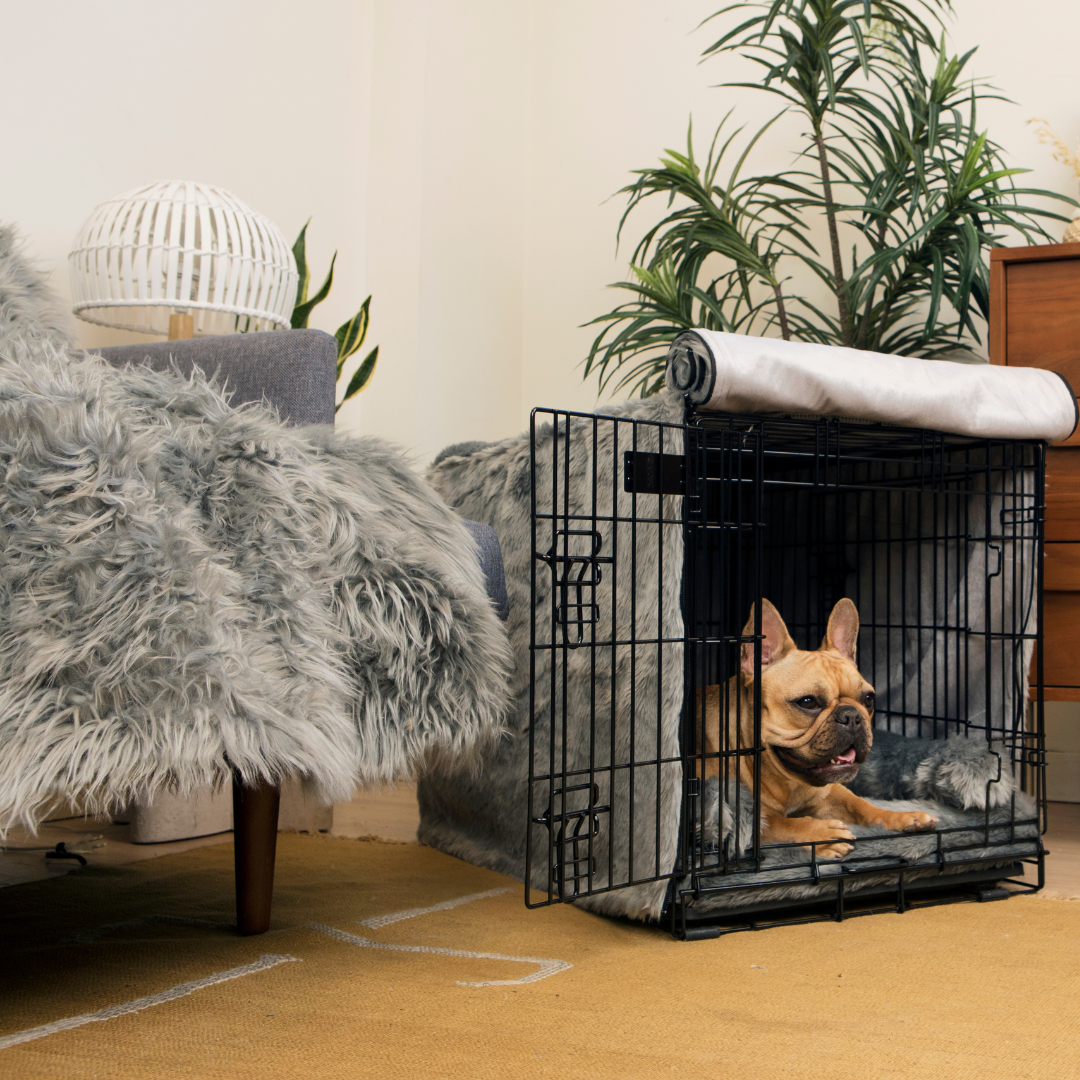 Stunning Dog Crate Upgrade Kit image