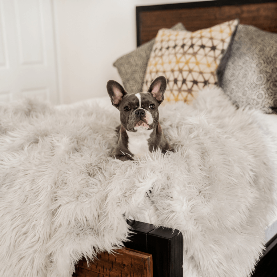 Pup store protector throw