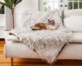 Cat on Grey Faux Fur Blanket in Living Room
