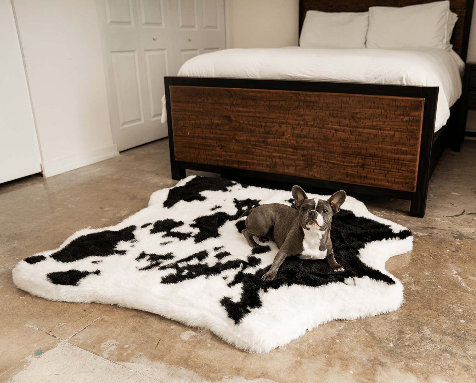 Cow Print Dog Bed Black Faux Cowhide Rug