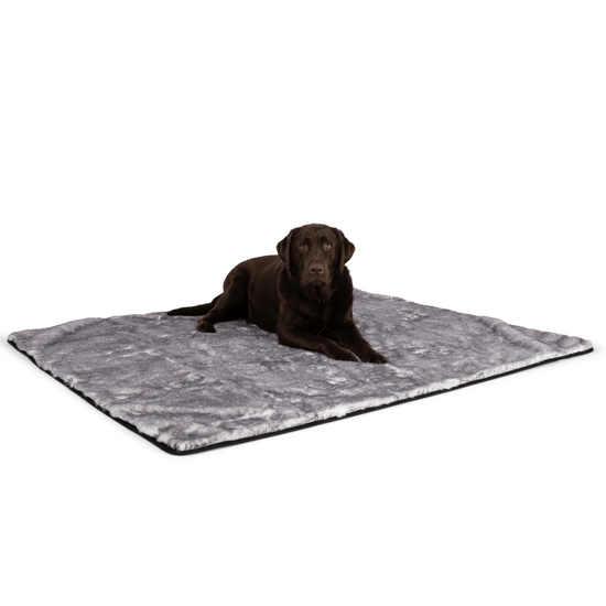 Waterproof Blanket Collection – Paw.com