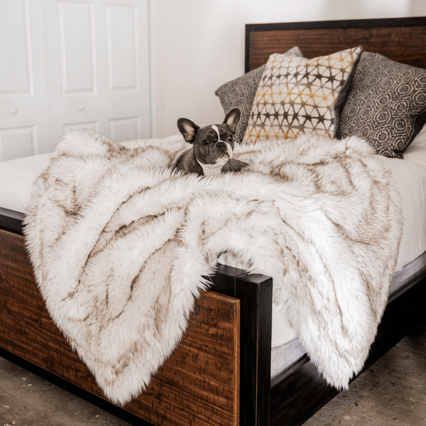 PupProtector™ Waterproof Throw Blanket- Large - White with Brown Accents