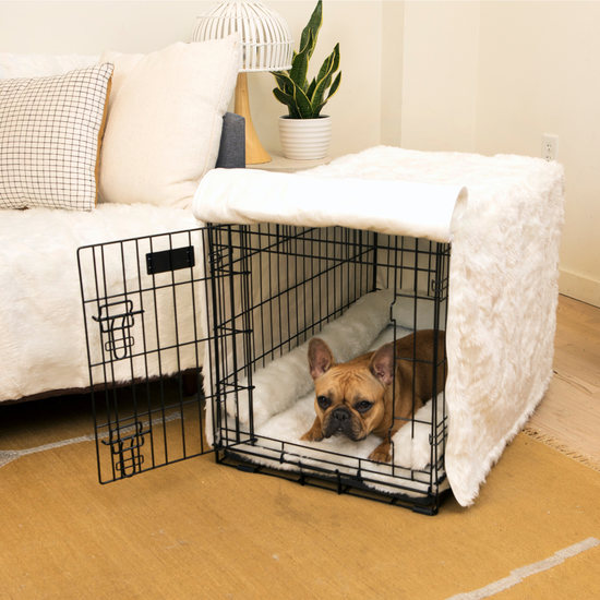 Beautiful view of Dog Crate Upgrade Kit