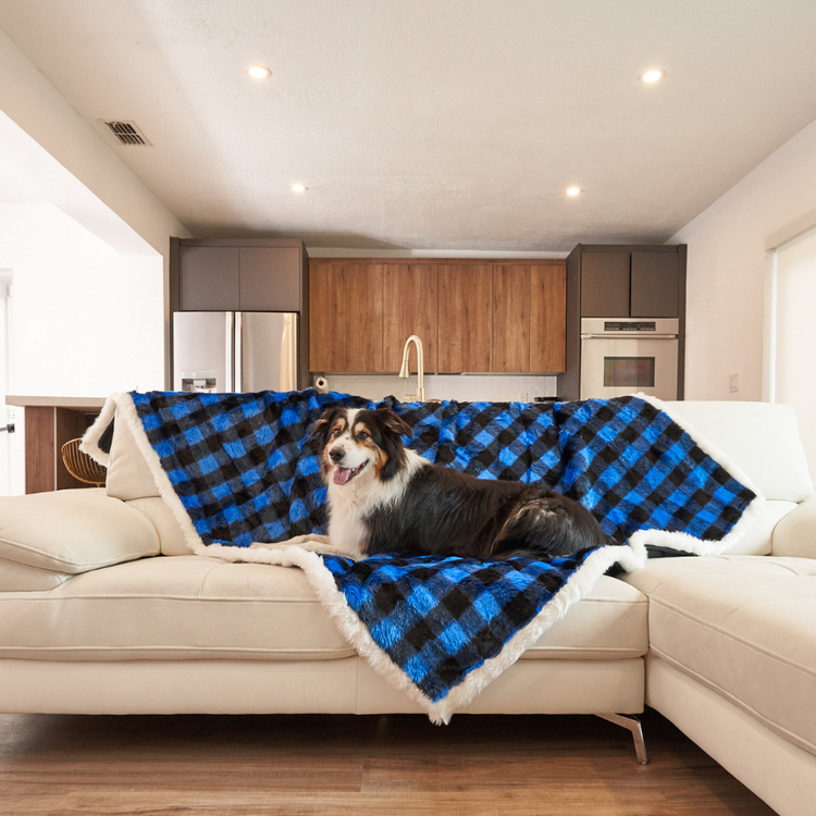dog lying on blue plaid faux fur pet blanket