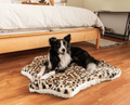 Border Collie resting on Cheetah faux print bed