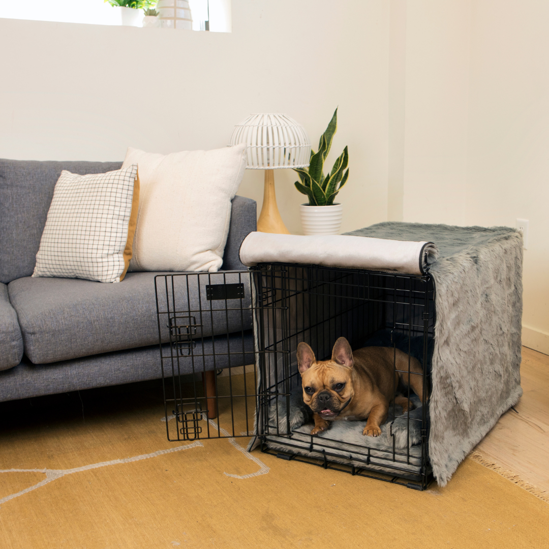 Upgrade Your Crate Kit - Charcoal Grey – Paw.com