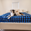 dog lying on blue plaid faux fur pet blanket