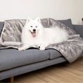PupProtector™ Luxe Waterproof Faux Fur Blanket - Ultra Soft Chinchilla