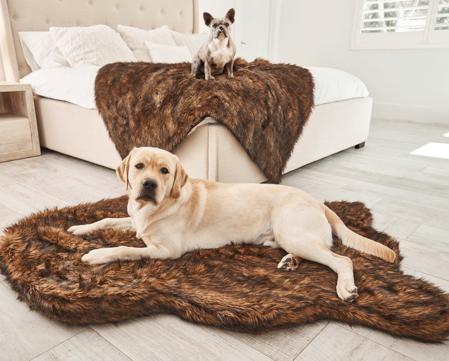 Puprug blanket top