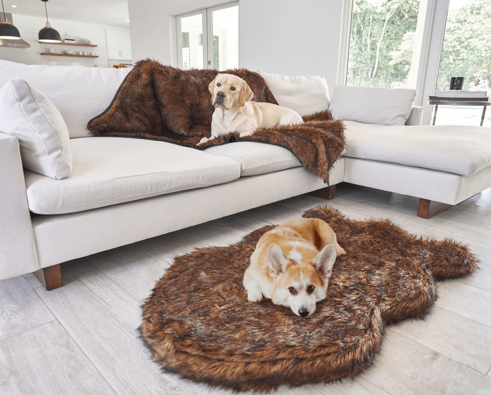 Puprug blanket store