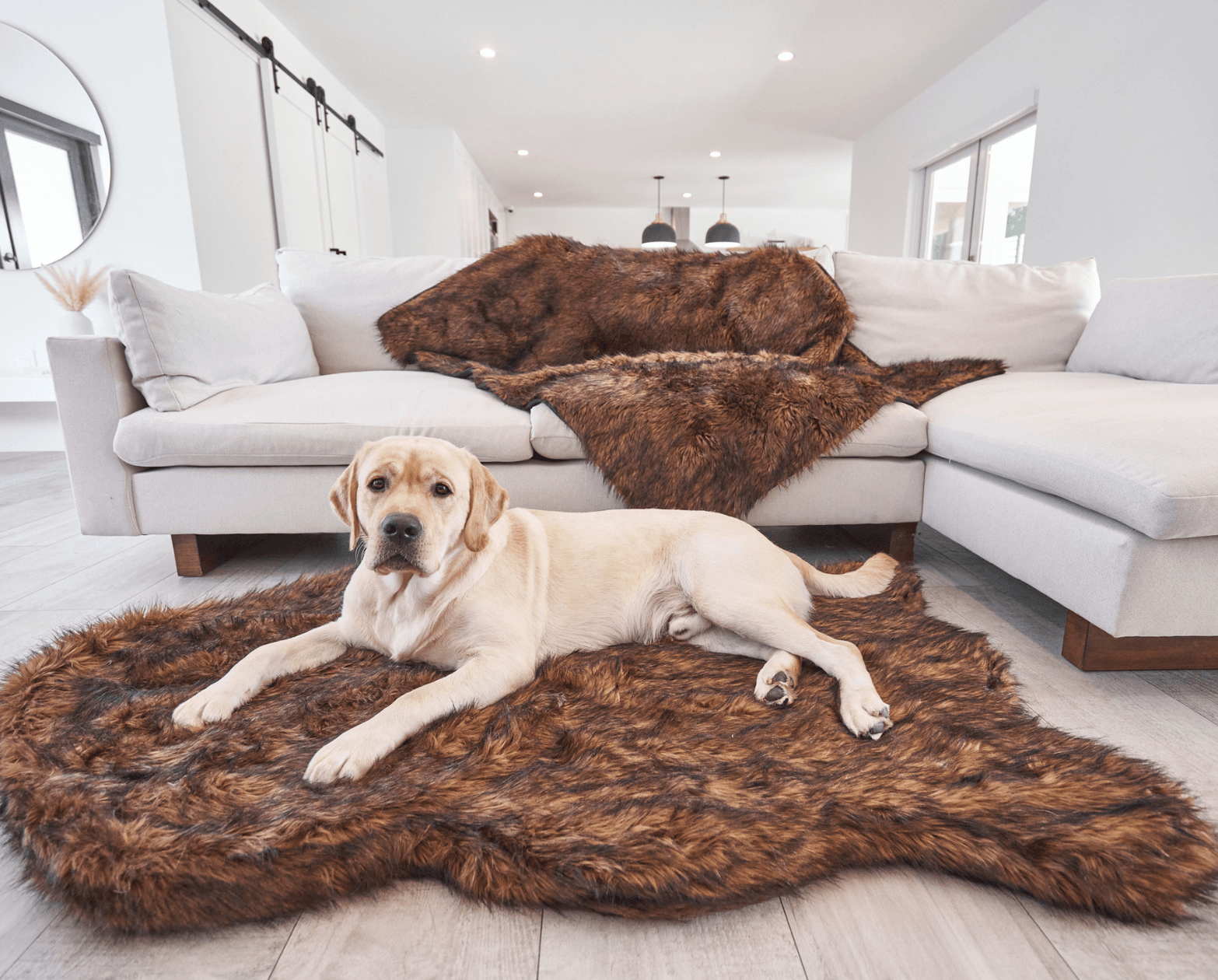 The Original PupRug® Memory Foam Dog Beds – Paw.com
