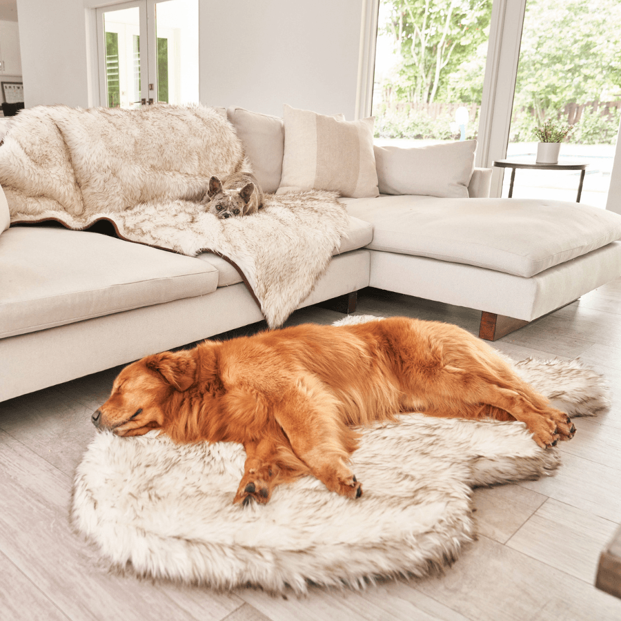 PupRug® Curve Runner & Waterproof Dog Blanket Bundle, White – Paw.com