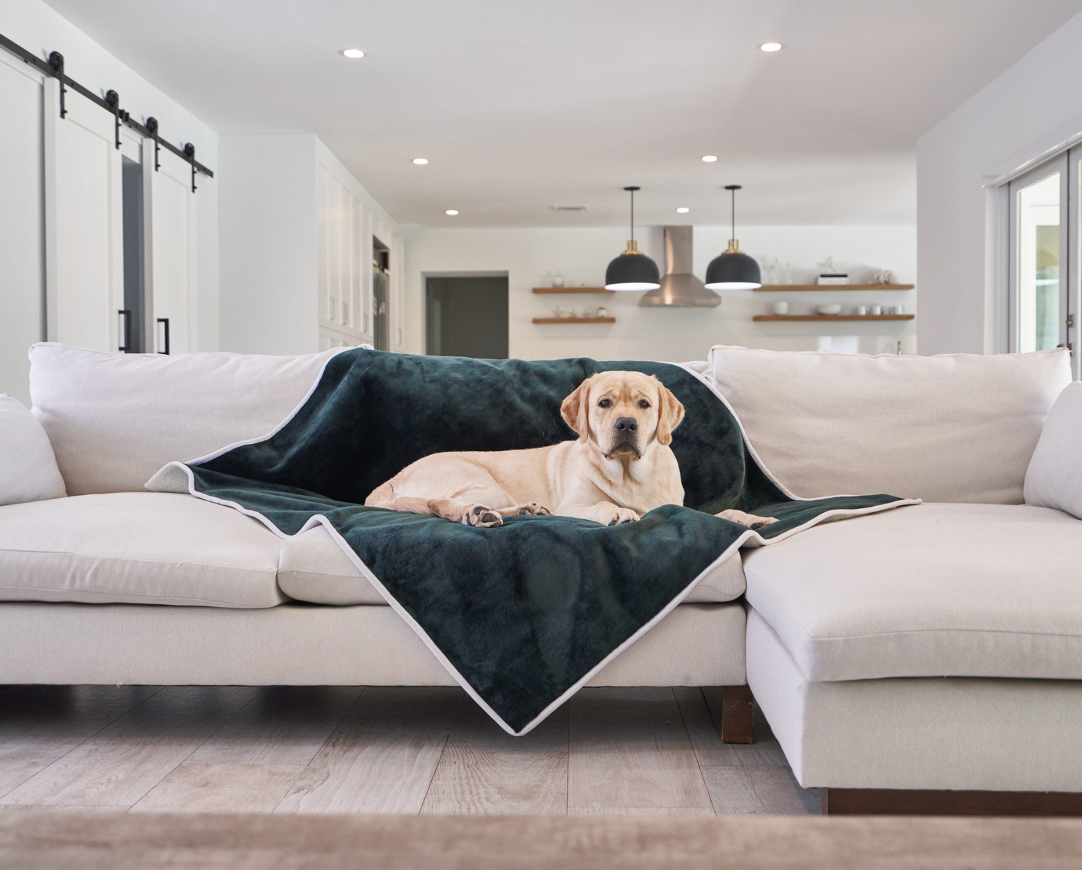 PupProtector™ Waterproof Velvet Blanket For Couch Green