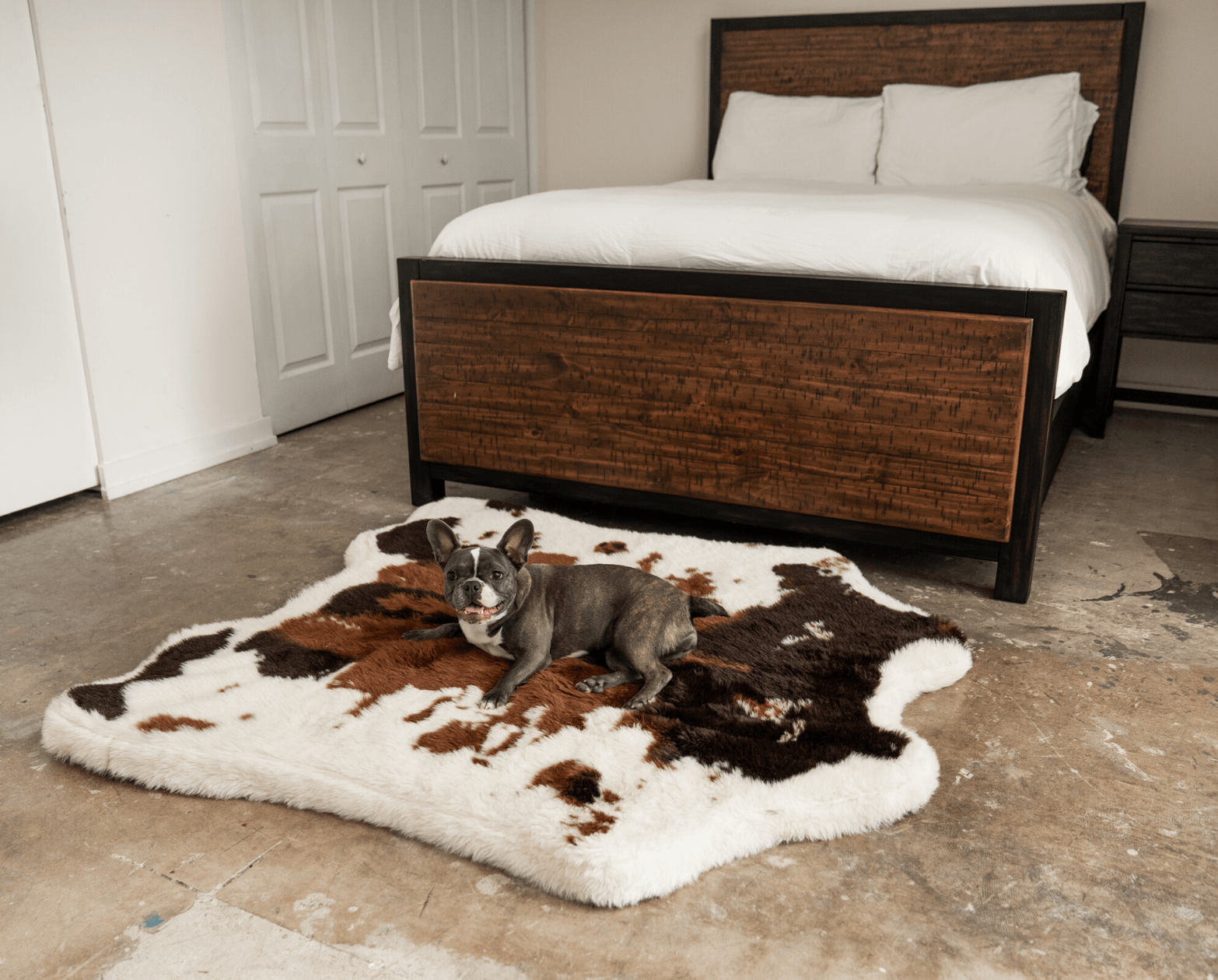 Orthopedic Dog Beds For Comfort Paw orthopedic-dog-beds-for-comfort-paw