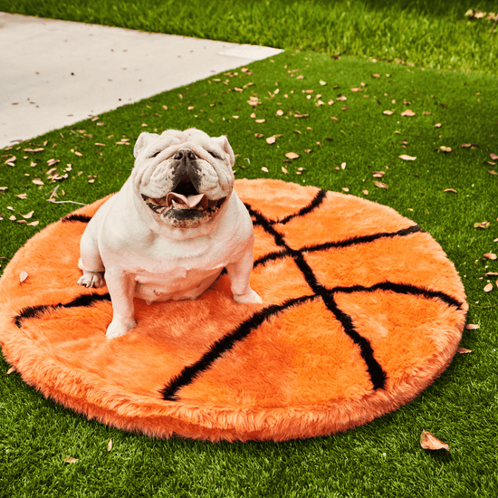 Sports themed Pet Beds