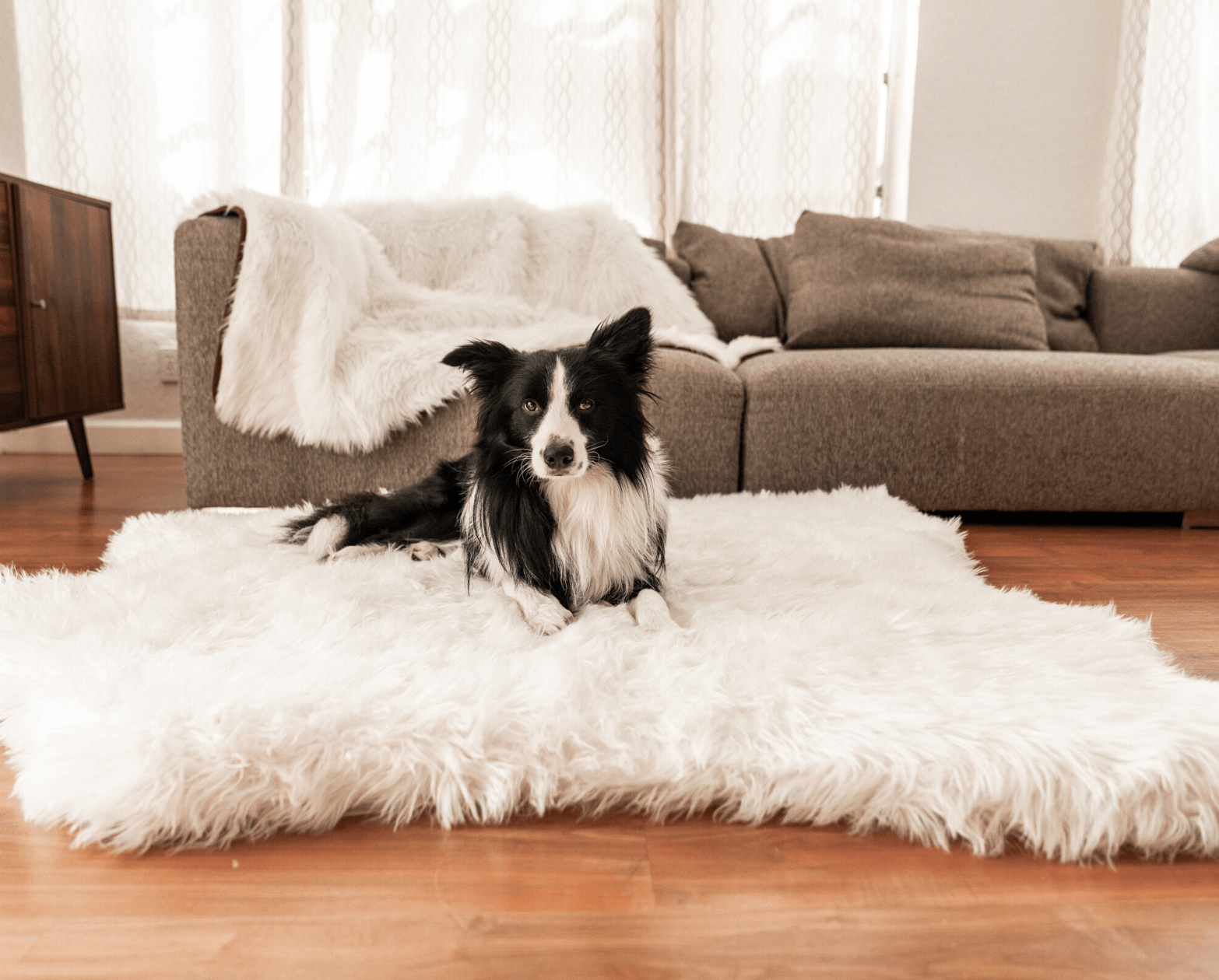 PupRug® Bundle: Dog Bed & Waterproof Blanket, White – Paw.com