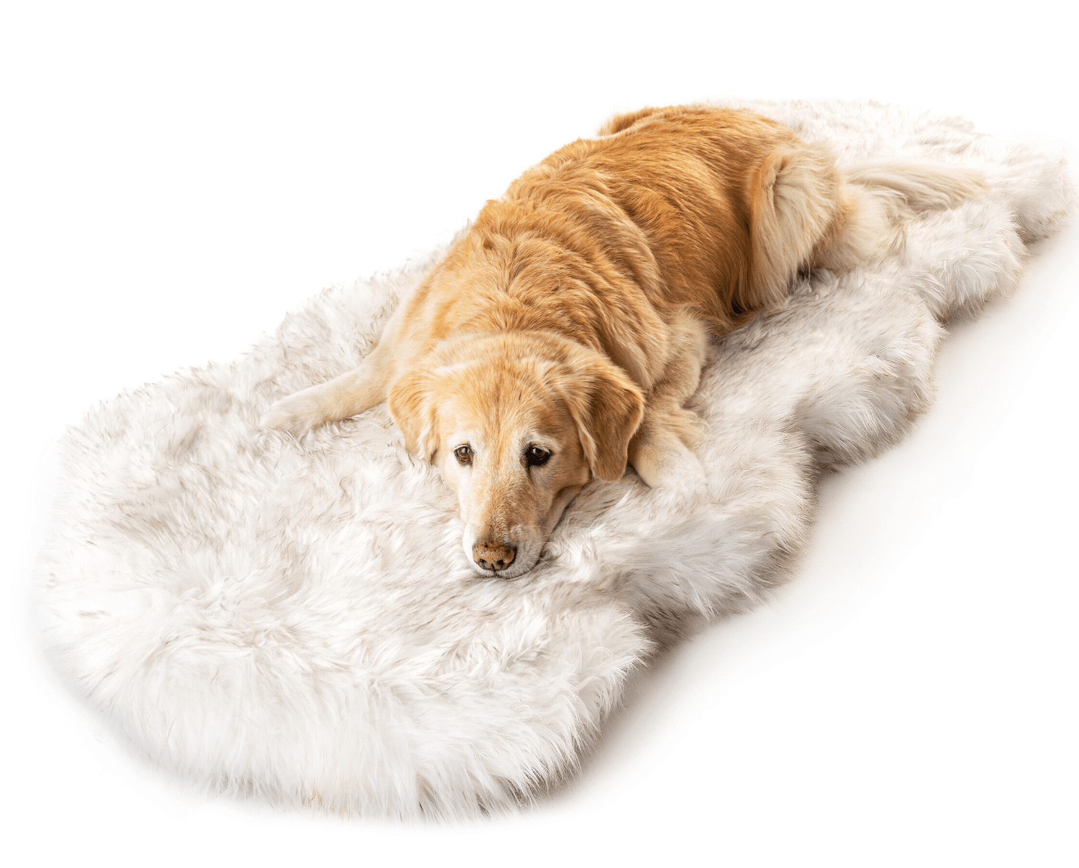 PupRug by Memory Foam Dog Bed Runner