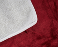 Red Velvet Waterproof Blanket