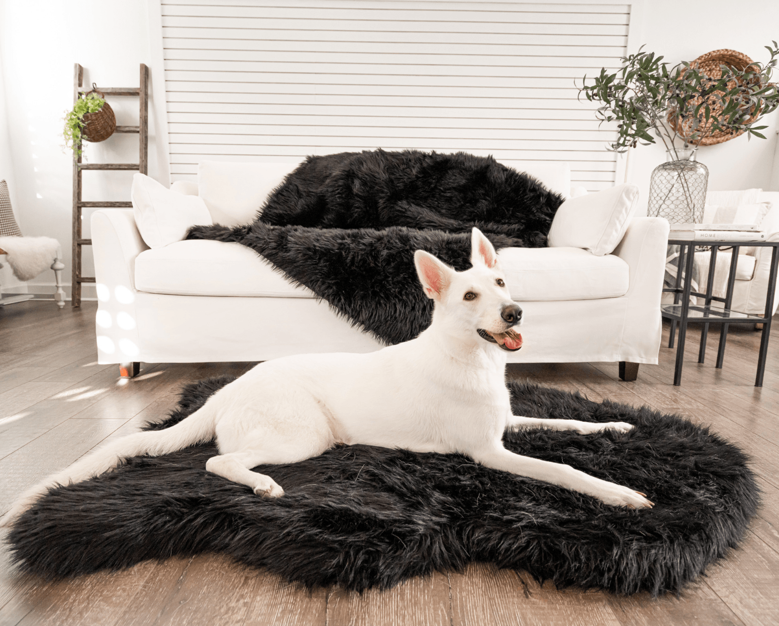 The Original PupRug® Memory Foam Dog Beds – Paw.com