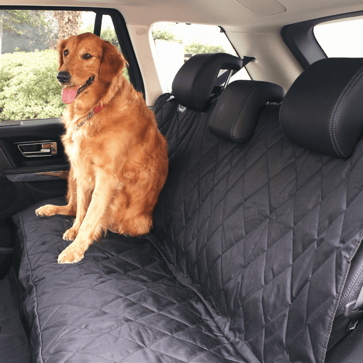 View of PupProtector™ Back Seat Dog Cover | Paw.com