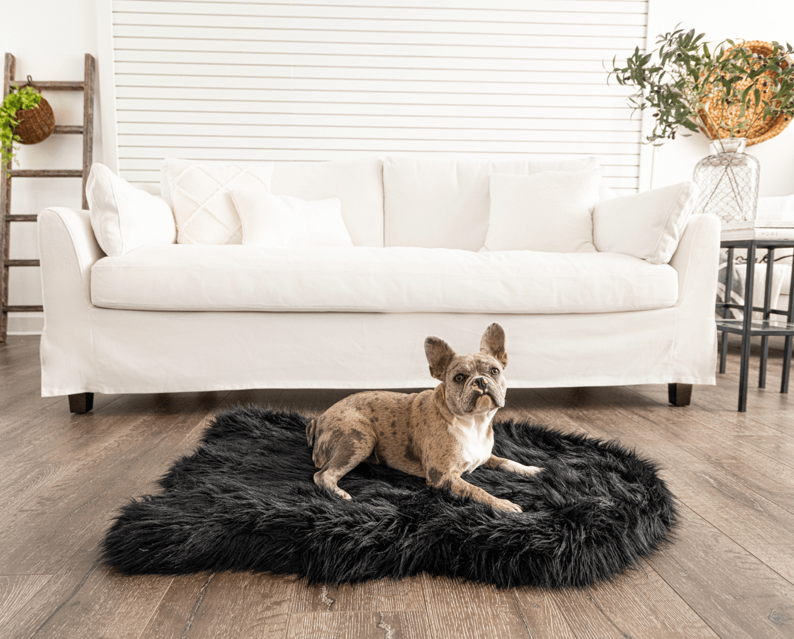 The Original PupRug® Memory Foam Dog Beds – Paw.com