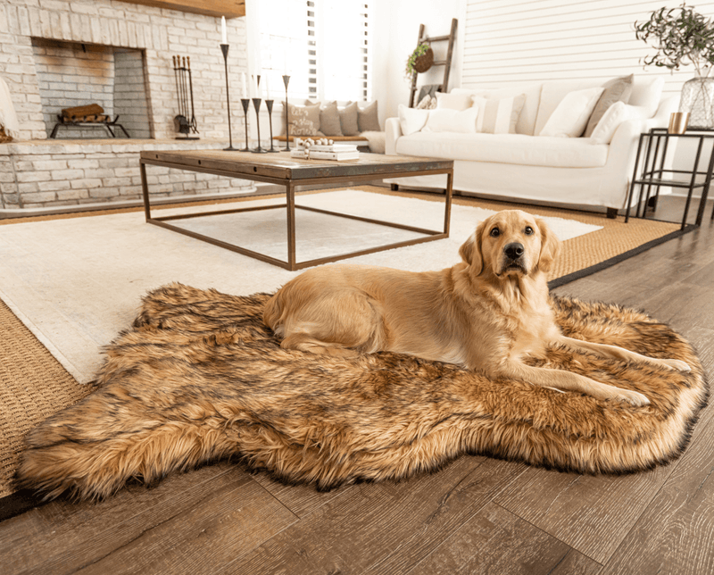 Luxe Dog Bed - Curve Sable Tan Rug – Paw.com