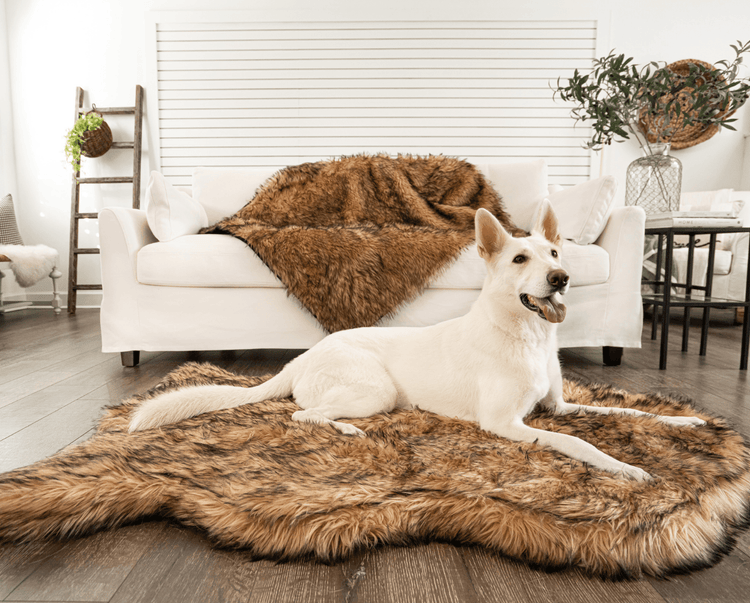 golden retriever and french bulldog on matching sable tan faux fur dog bed and blanket