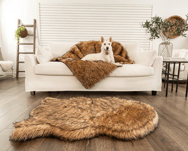 golden retriever and french bulldog on matching sable tan faux fur dog bed and blanket